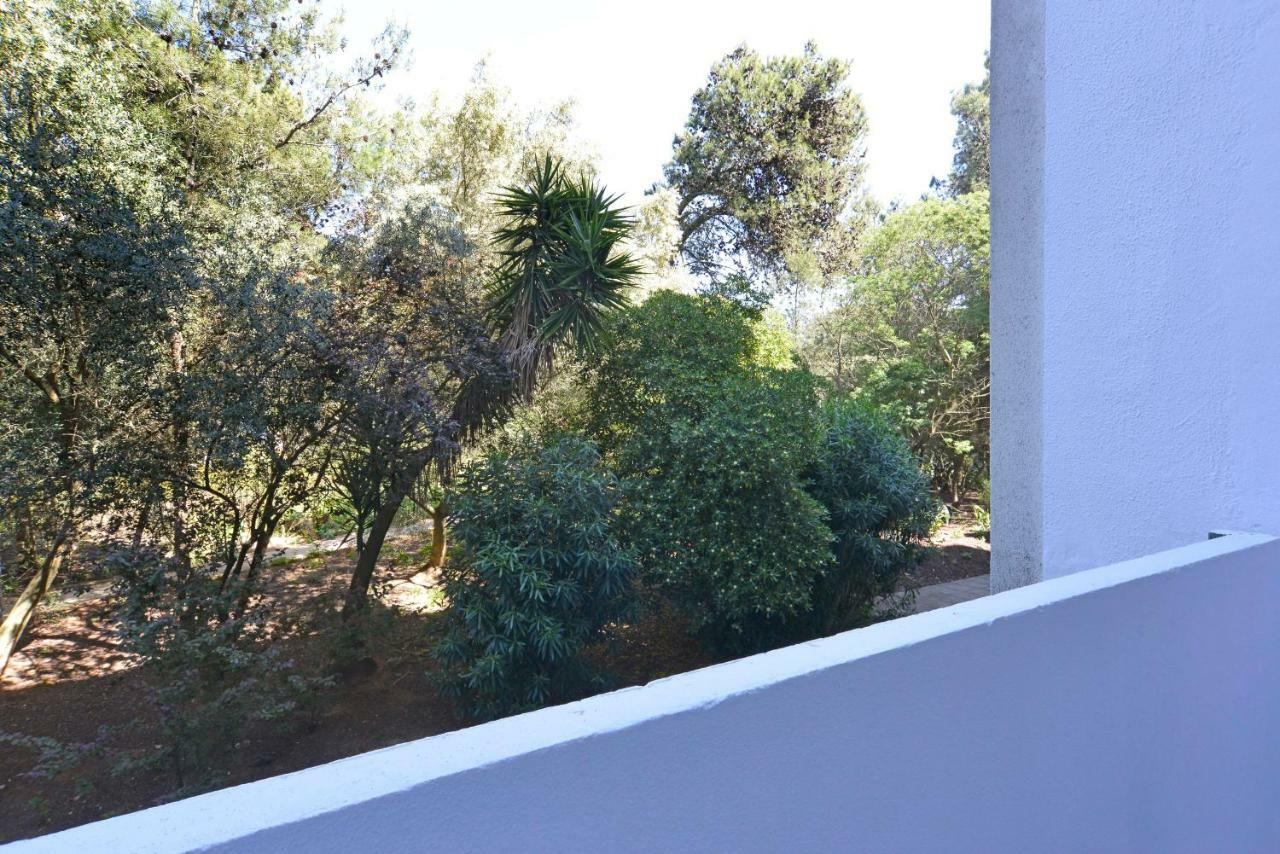 Tropical View Cascais - Checkinhome Екстер'єр фото